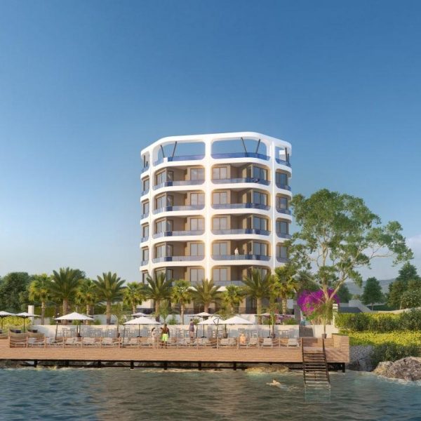 photo_2022-12-10_13-50-46