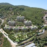 photo_4_2023-03-06_13-02-46