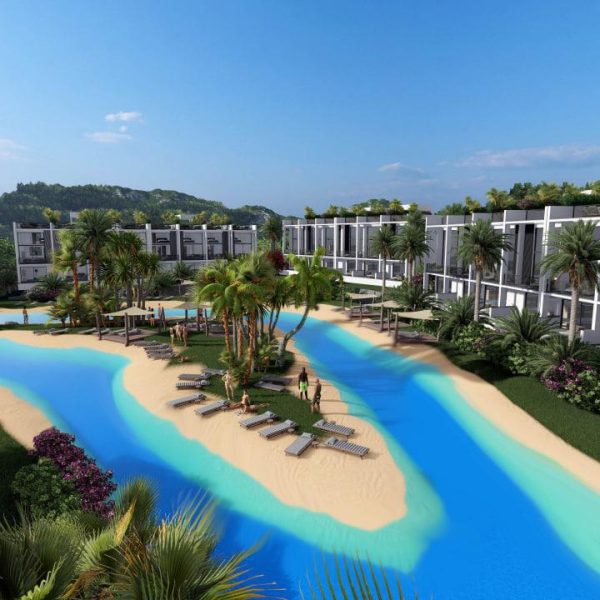 photo_5_2023-05-01_16-11-08