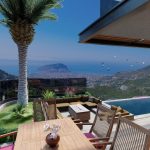 photo_6_2023-03-03_17-19-54