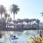 photo_6_2023-05-01_17-00-23