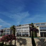 photo_7_2023-02-20_09-53-53