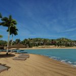 photo_8_2023-02-20_09-53-53