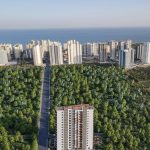 whatsapp-image-2022-05-18-at-18.31.31