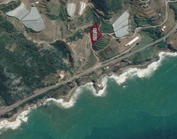 whatsapp-image-2022-08-26-at-19.08.32-rotated